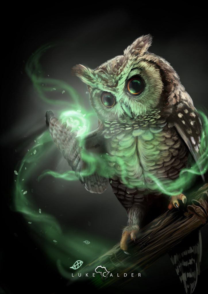 Owl Mage